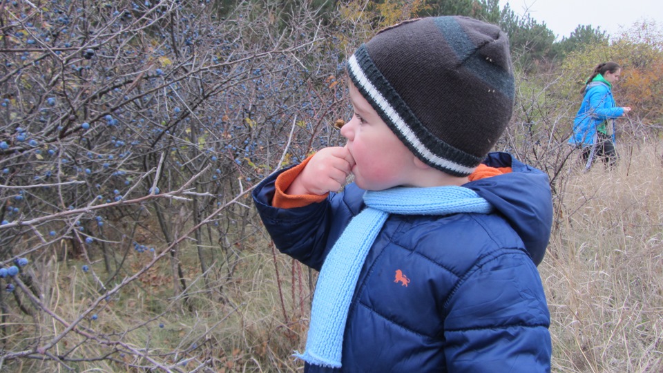 ест тёрн — Ford Mondeo III