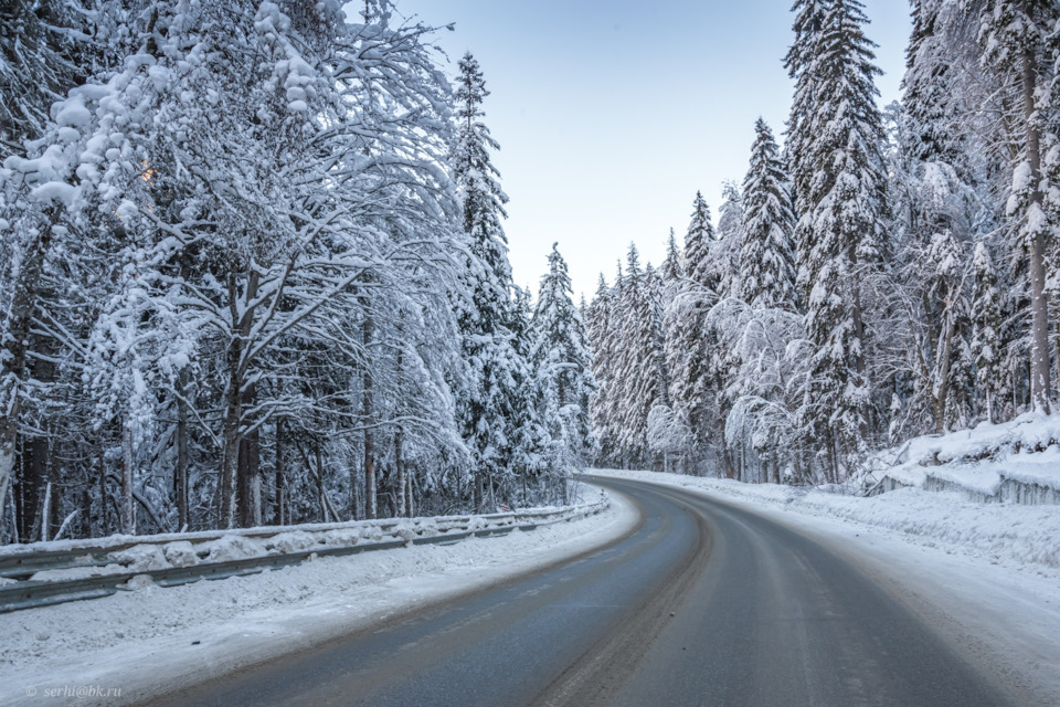 Фото в бортжурнале Volkswagen Tiguan (2G)