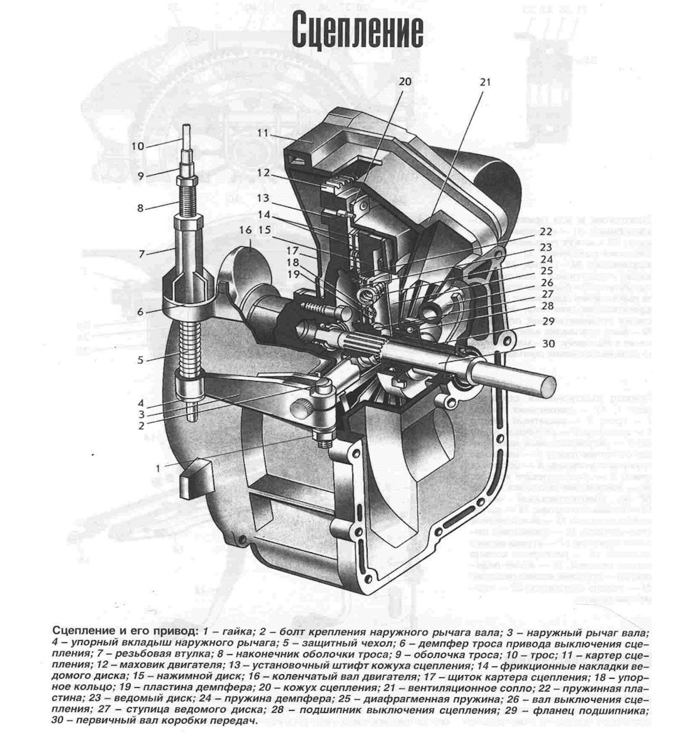 Сцепление москвич 2141 схема