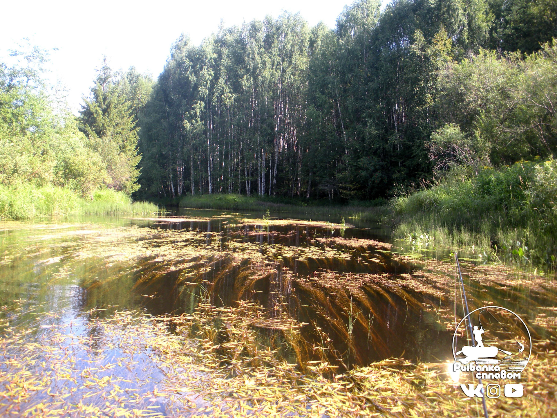 Река черная холуница