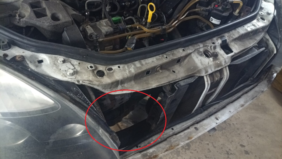 Фото в бортжурнале Renault Clio II