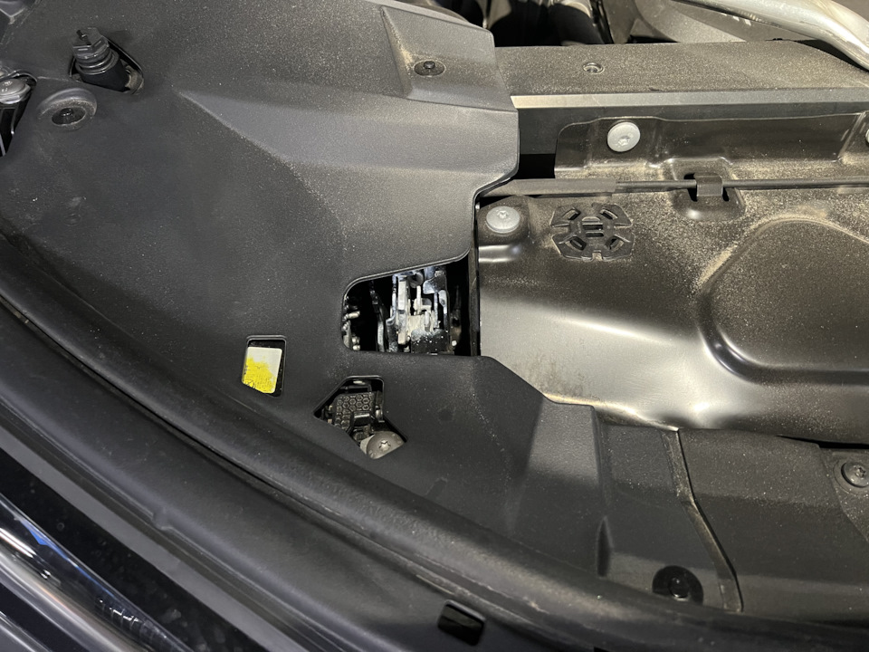 Фото в бортжурнале BMW X7 (G07)