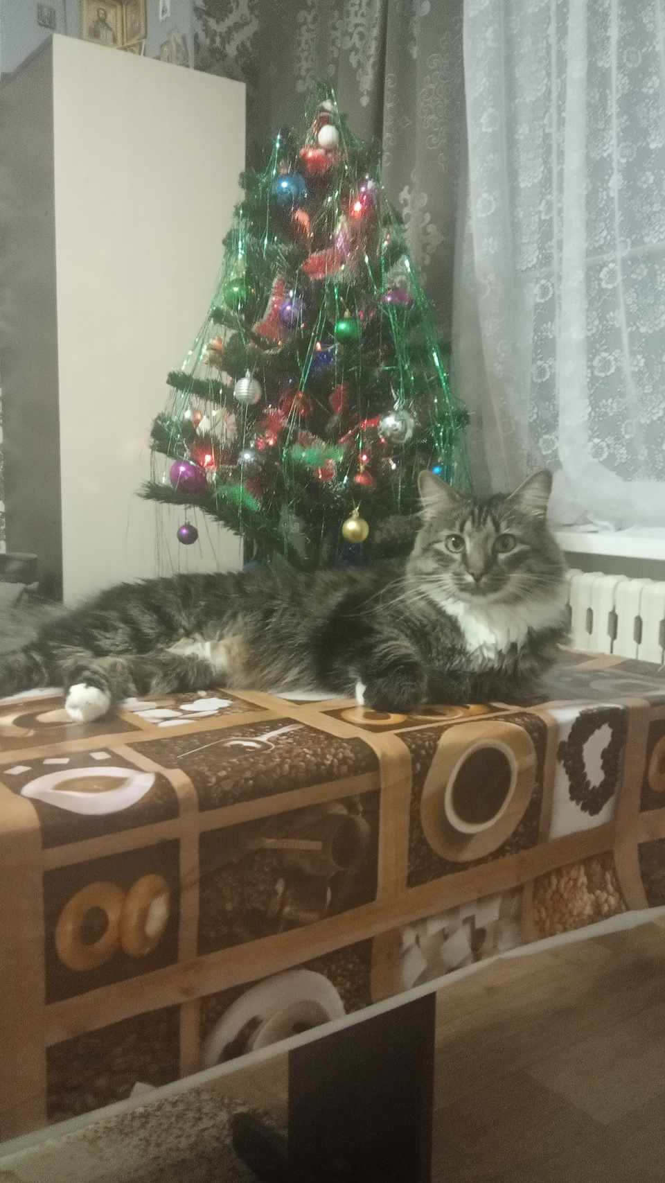 Расход топлива, выводы. — Renault Sandero Stepway (2G), 1,6 л, 2015 ...