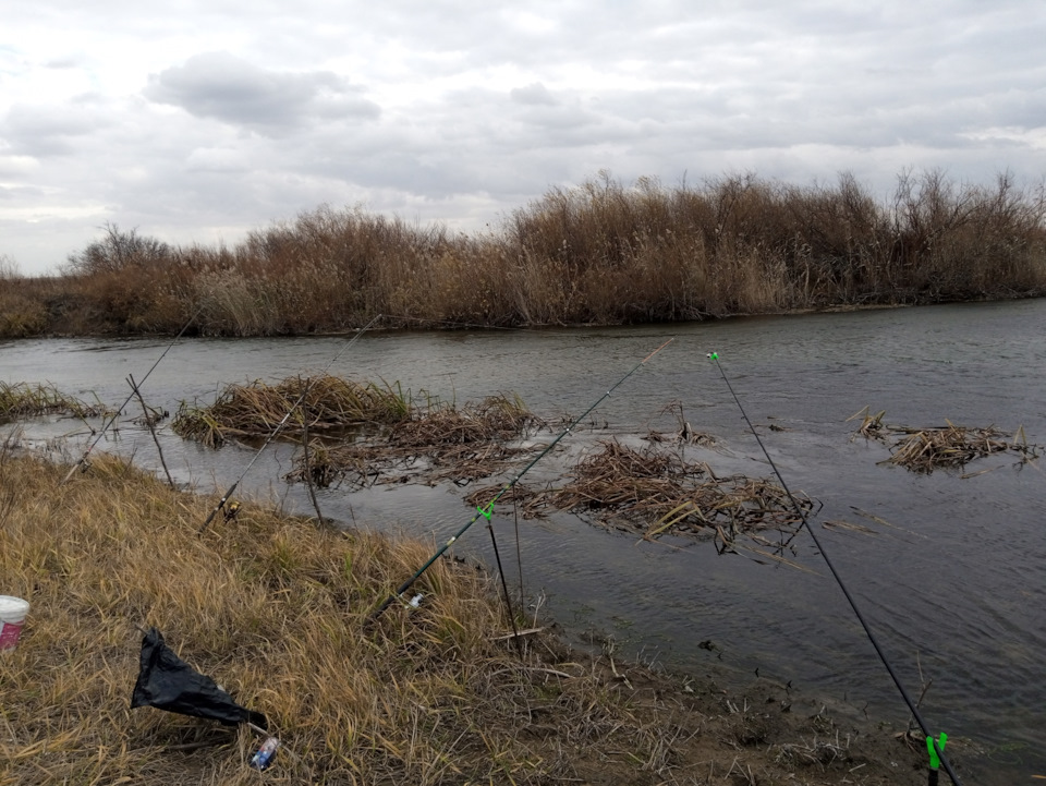 Белый руль на 408-м — DRIVE2