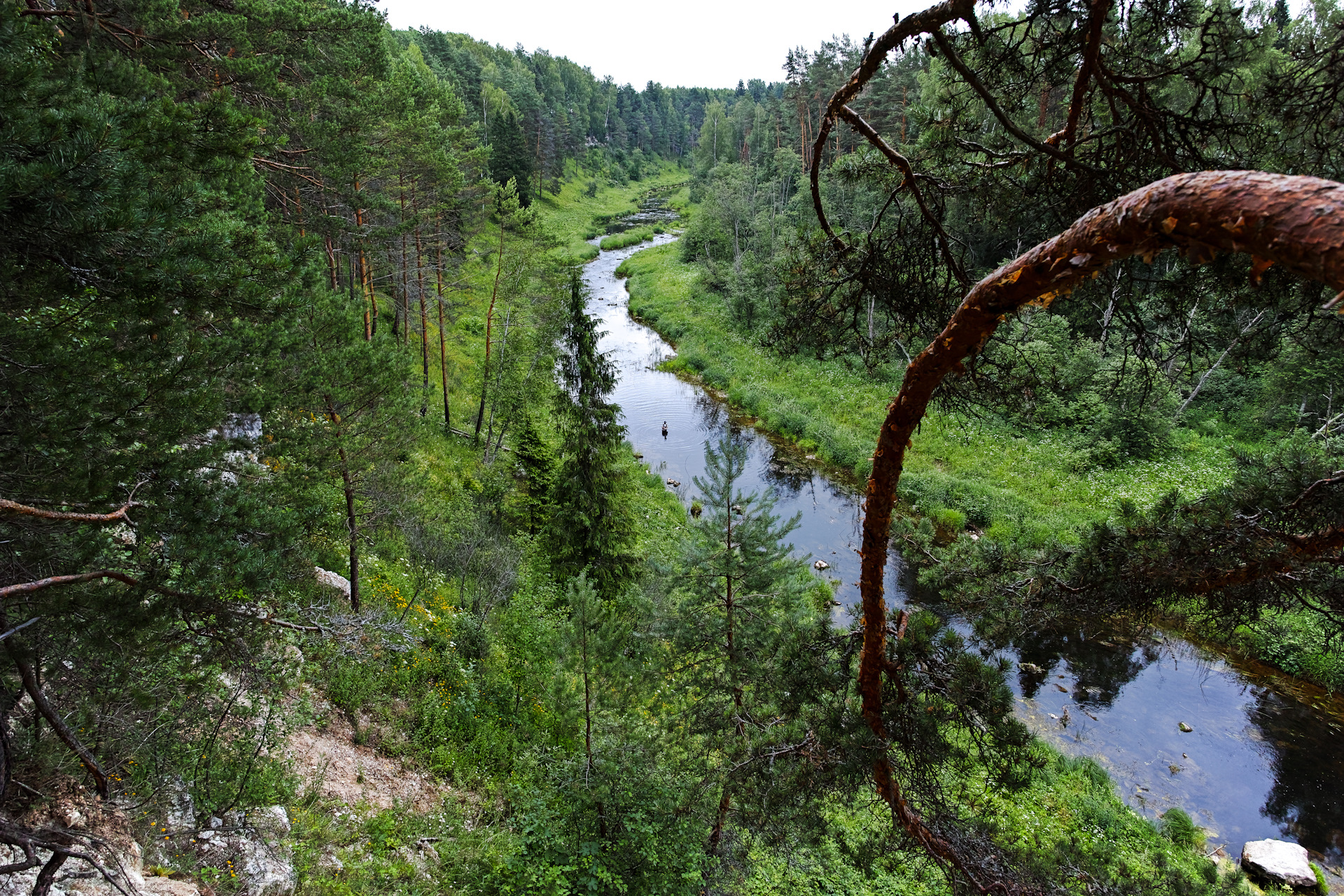 Река держа тверская область фото