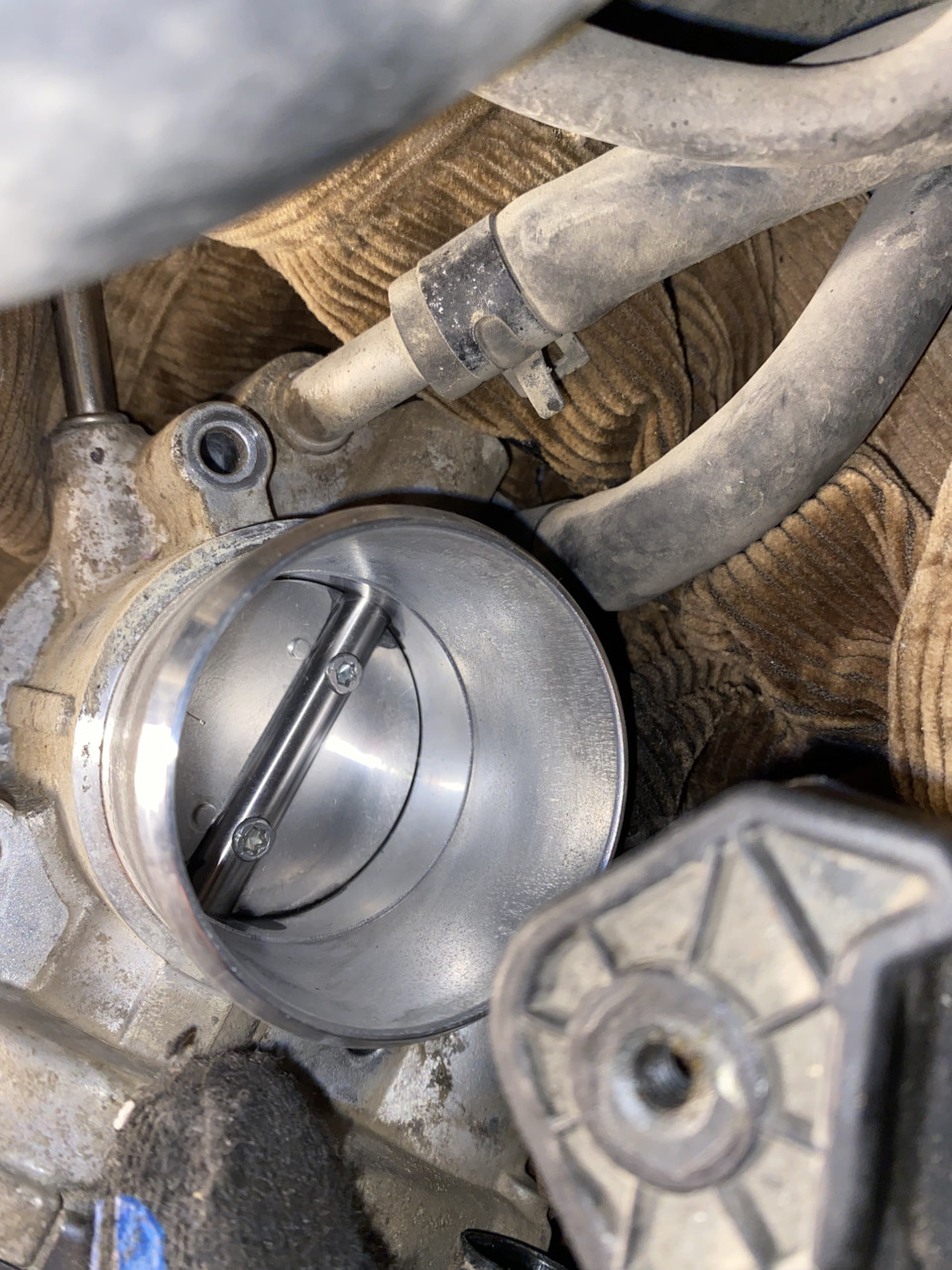 5LoKVmA2FhZvn4wwq72W73cxpRc 960