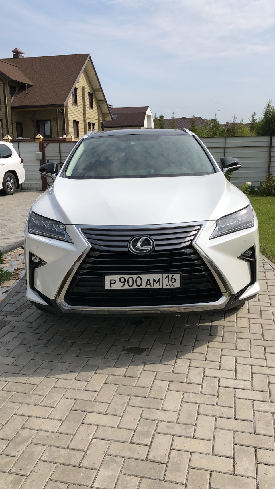 броня авто всю морду — Lexus RX (4G), 2 л, 2018 года | визит на сервис |  DRIVE2