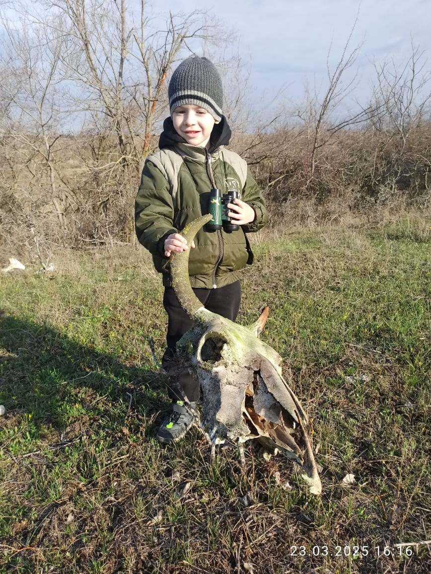 Фото в бортжурнале УАЗ Patriot