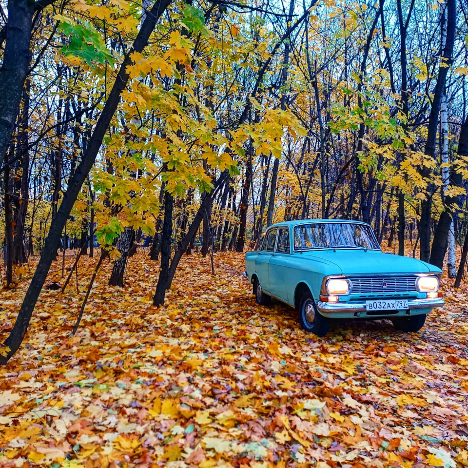 Теплых фото Вам в ленту — Москвич 408, 1,4 л, 1973 года | фотография |  DRIVE2