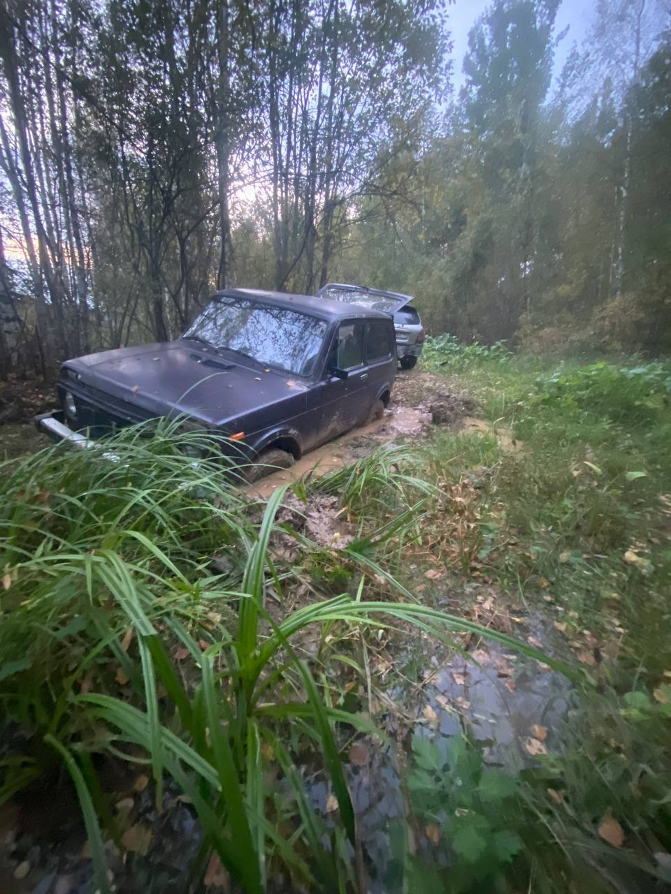 Застрял в лесу и порвал привод — Lada 4x4 3D, 1,7 л, 1998 года | эвакуация  | DRIVE2