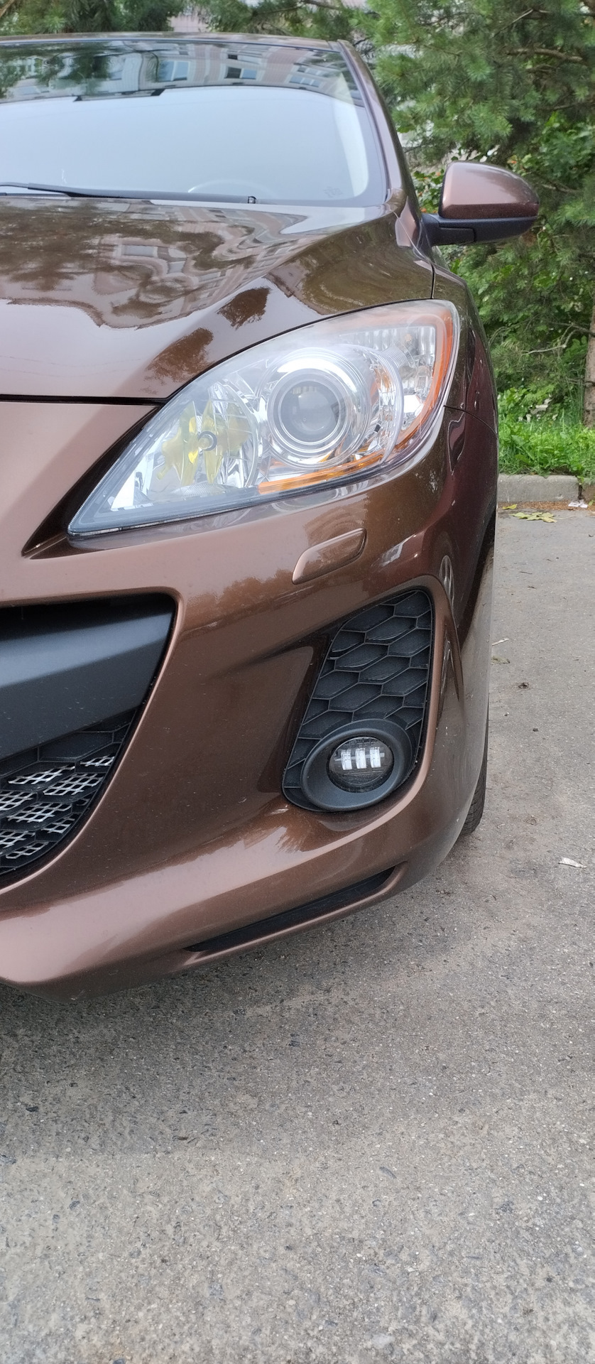 ПТФ Sal Man Mazda 3 bl рестаил — Mazda 3 (2G) BL, 1,6 л, 2011 года ...
