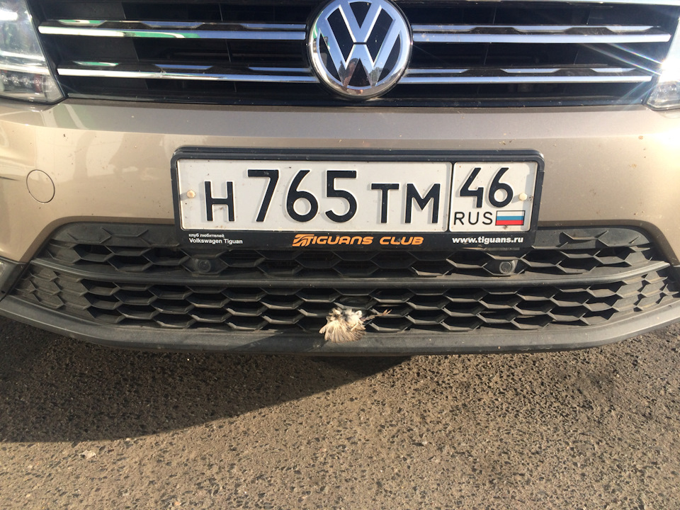 Отпуск ч.3 (окончательная) — DRIVE2