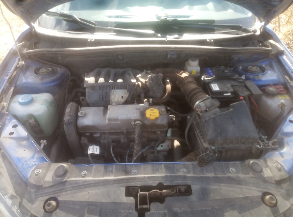 Мытье двигателя — Lada Гранта (2G) FL, 1,6 л, 2019 года | мойка | DRIVE2