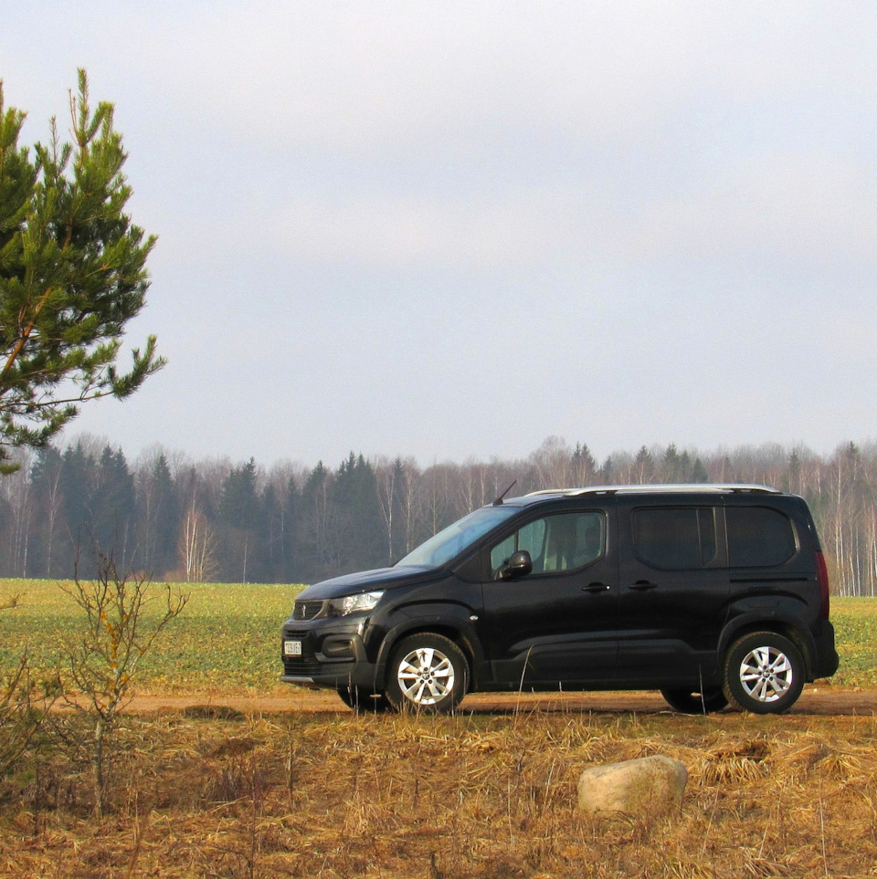 Рычик на выгуле))) — Peugeot Rifter