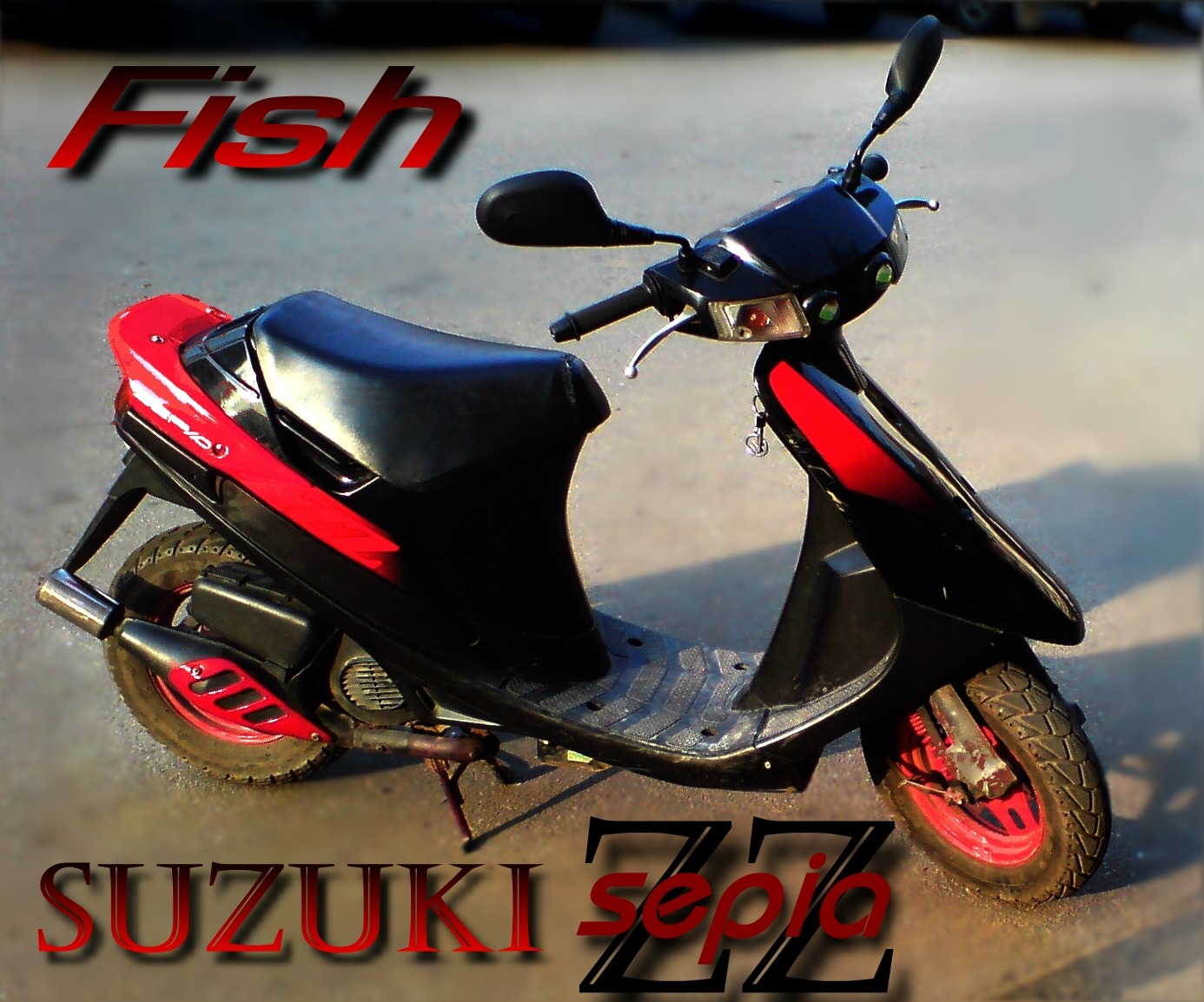 Сузуки сепия ZZ. Скутер Сузуки сепия 50. Suzuki Sepia 50 красный цвет. Suzuki Sepia ZZ пластик.