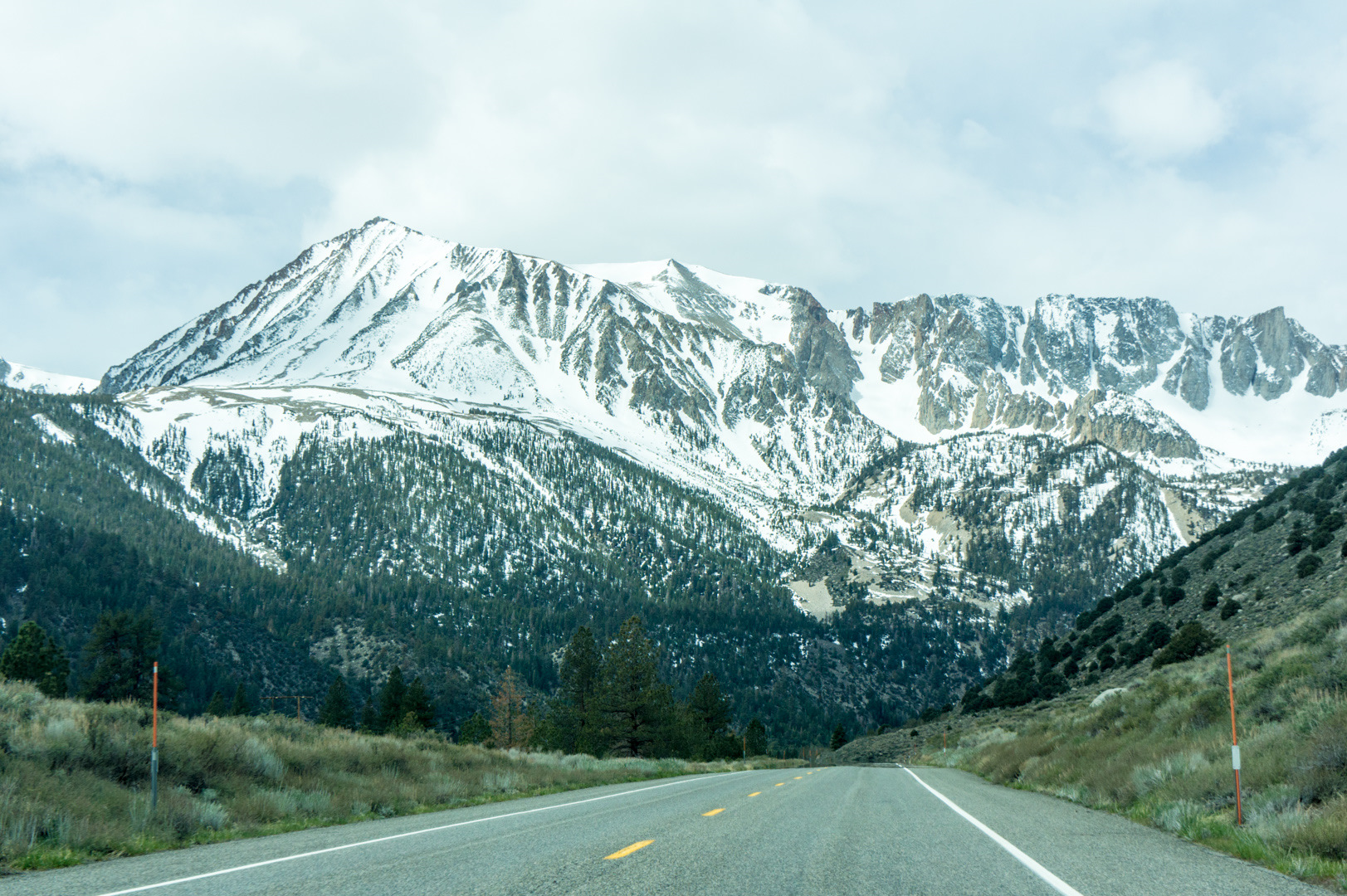 Mammoth valley