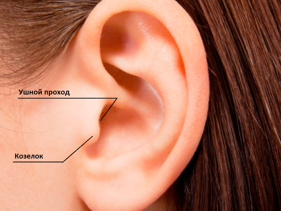 Посторонний шум под капотом? Решение на поверхности… — Skoda Fabia ...