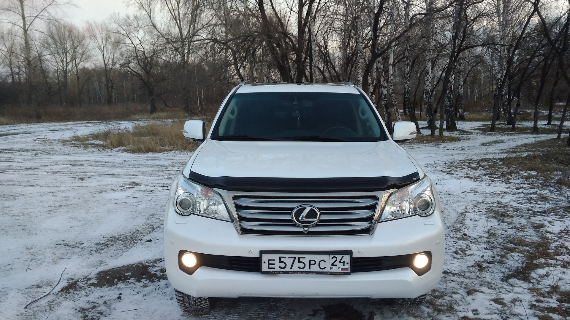 Lexus GX (URJ150) 4.6 бензиновый 2010 | Crystal White Pearl на DRIVE2