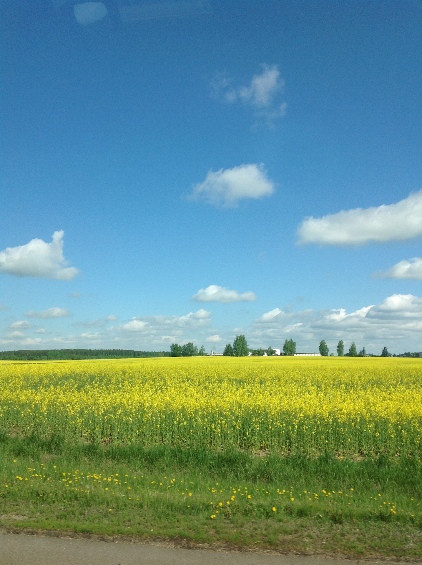 Фото полей беларуси