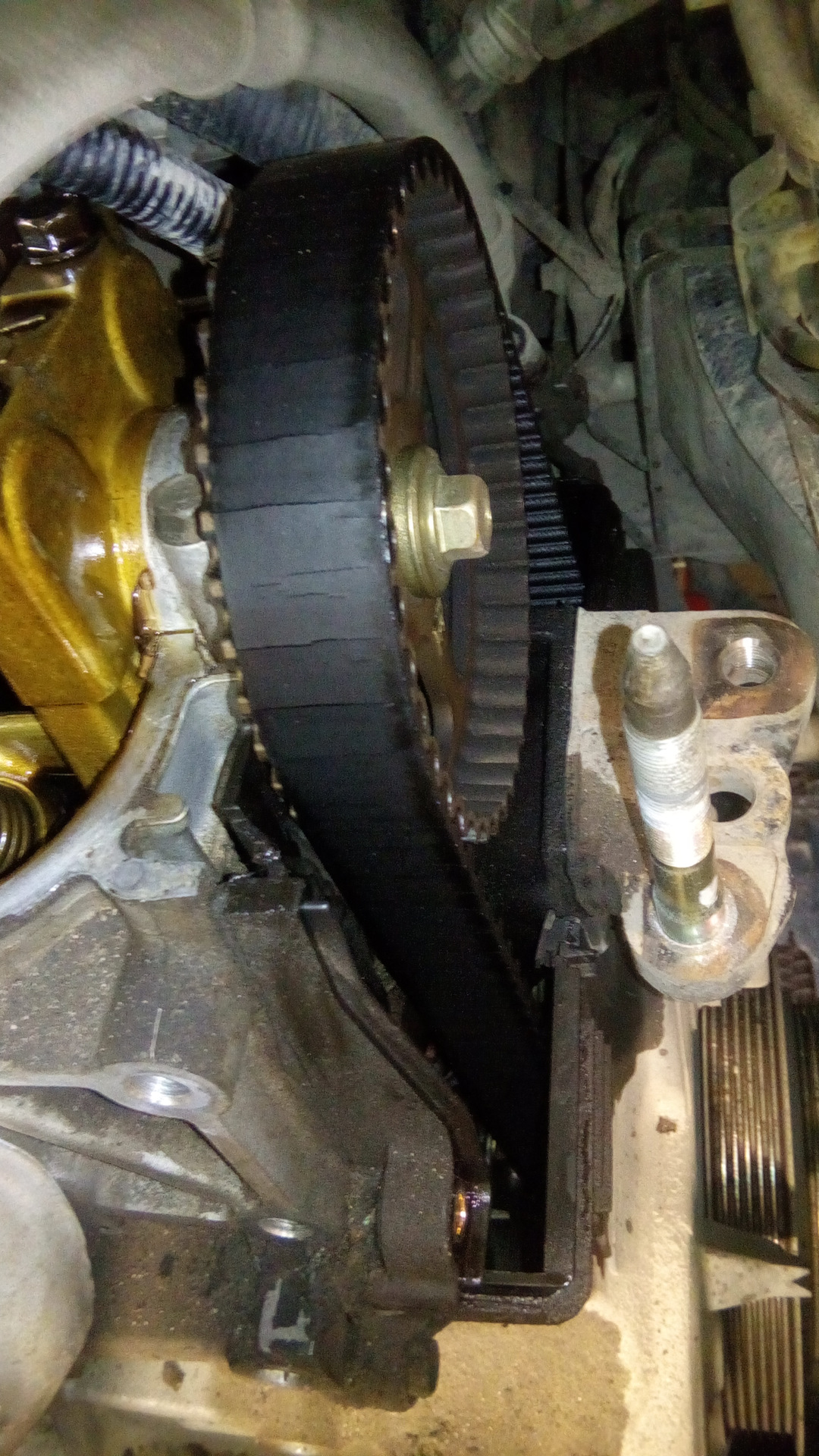 Хонда одиссей 2,4 метки грм. 3 грм. Метки грм f23a. 3. 3 грм.