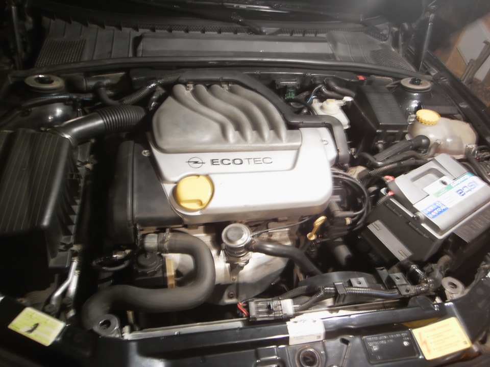 Вакуумники x16xel дорест — Opel Vectra B, 1,6 л, 1998 года | фотография ...