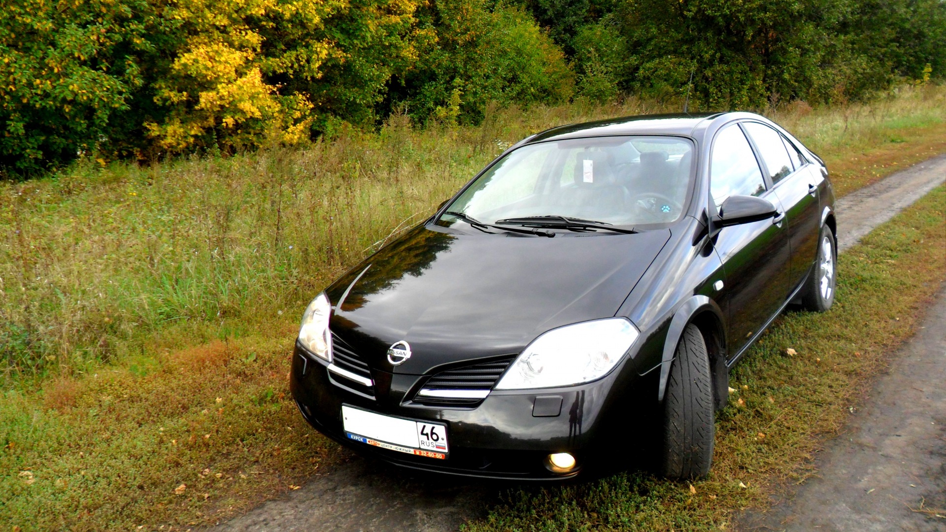 Nissan Primera (P12) 1.6 бензиновый 2006 | back to black на DRIVE2