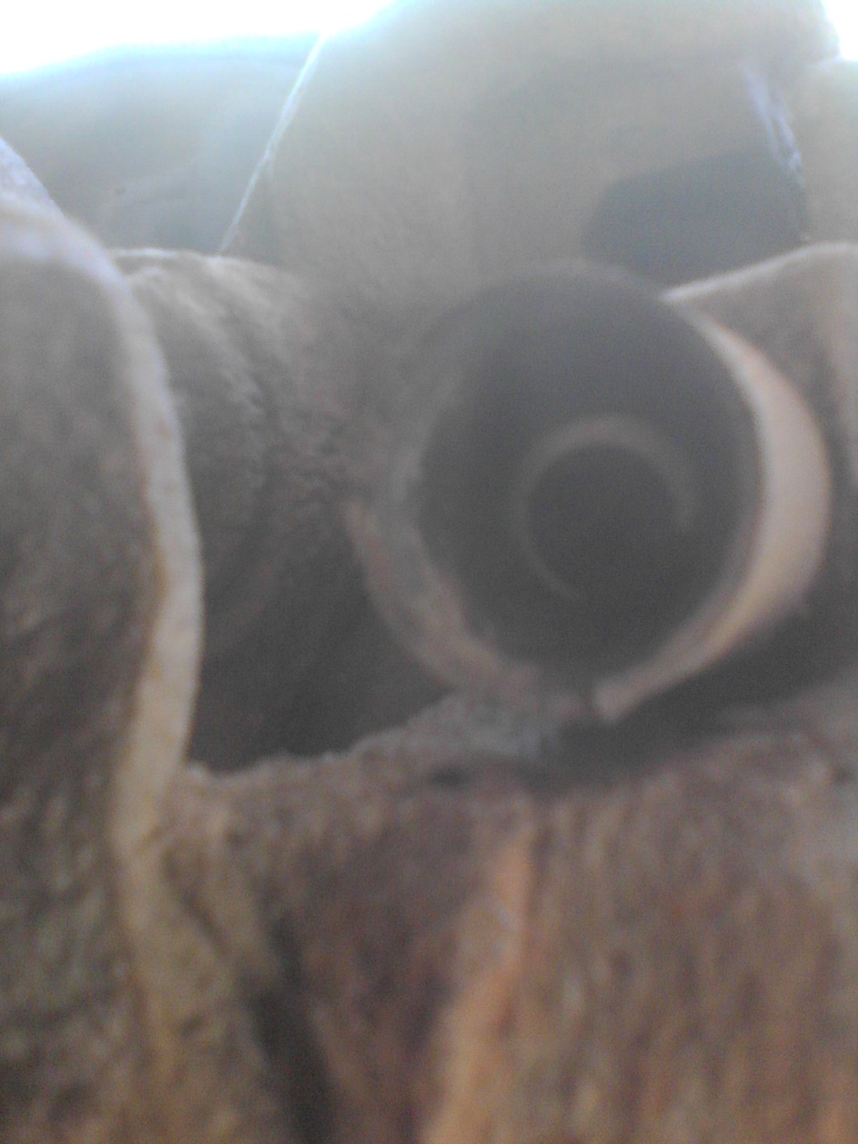 номерок колодок может кто подскажет — Volkswagen Transporter T4, 2,4 л ...