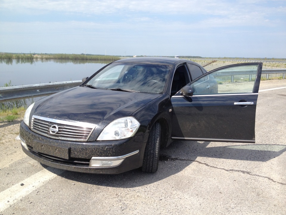 Любуемся ) — Nissan Teana (J31), 2,3 л, 2006 года | фотография | DRIVE2