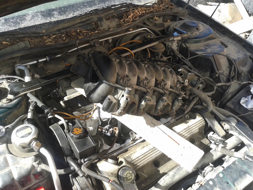 Оживление крокодила. — Cadillac Seville (4G), 4,6 л, 1997 года | визит ...