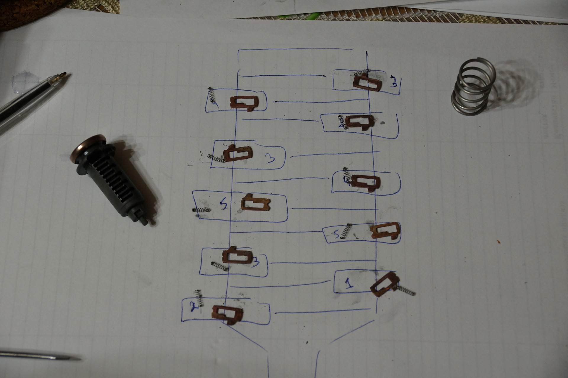 Схема личинки