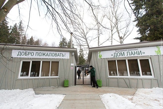 что посмотреть рядом с зеленоградом