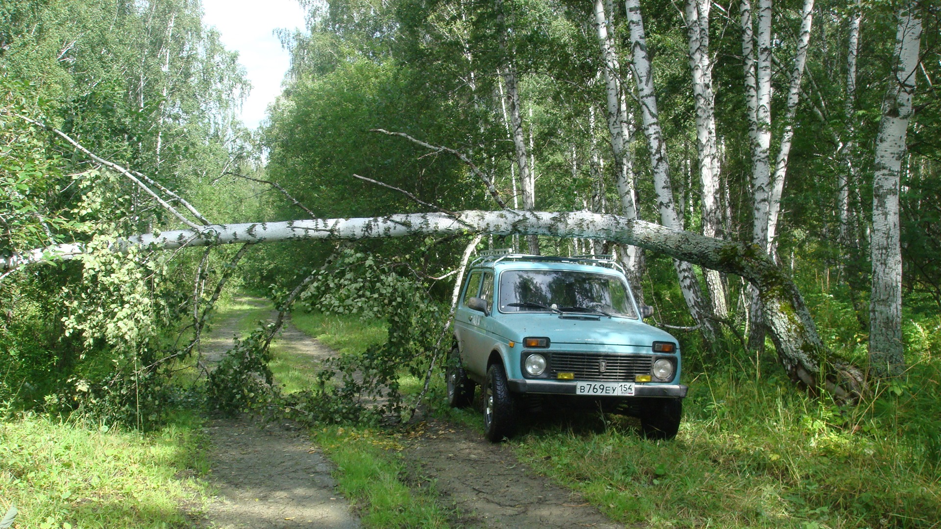 Lada 4x4 3D 1.7 бензиновый 2000 | Серо-зелёно-голубой на DRIVE2