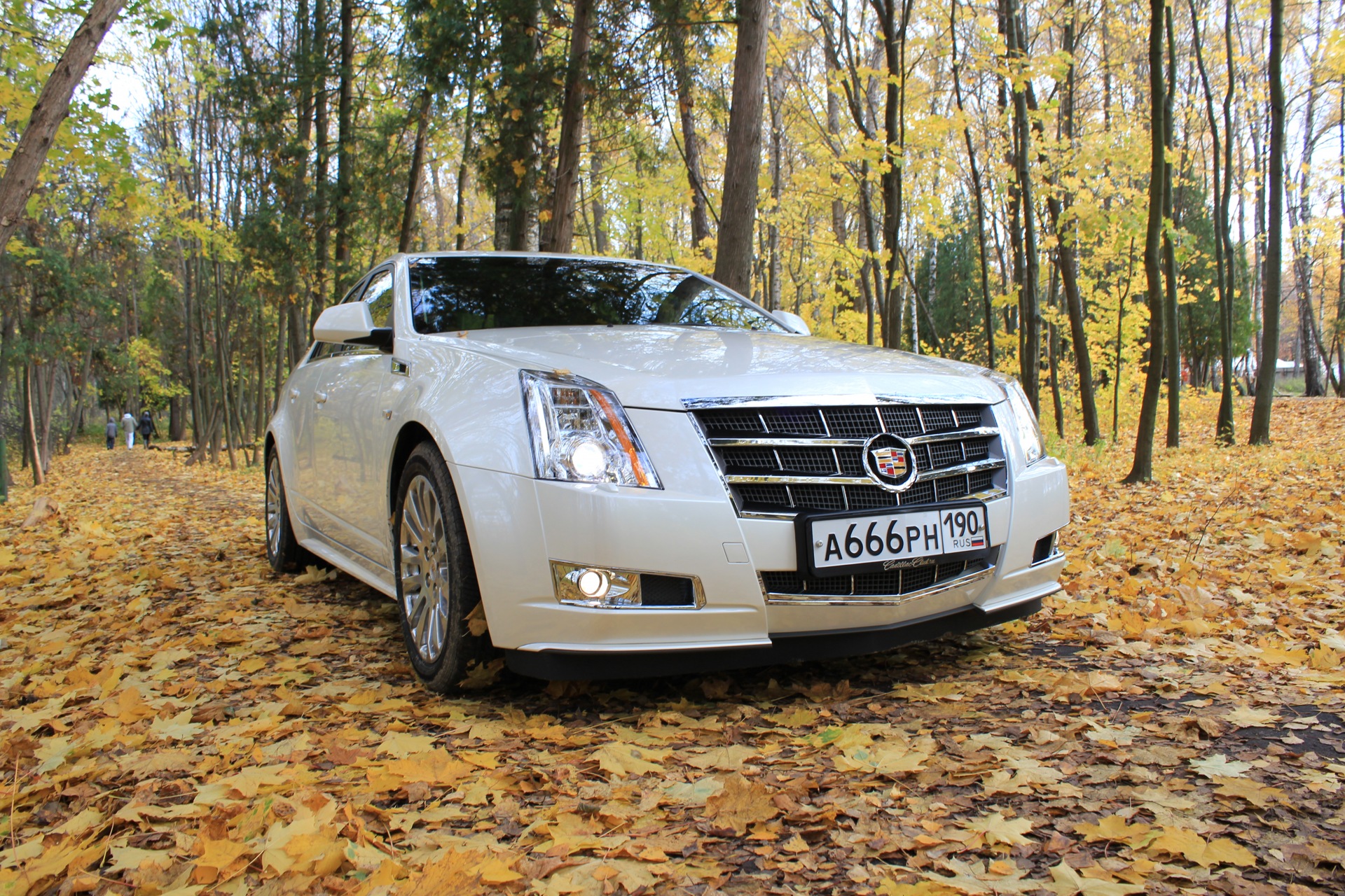 Фото в бортжурнале Cadillac CTS (2G)