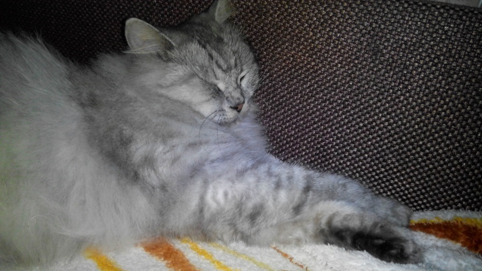 Фото в бортжурнале Lada Granta