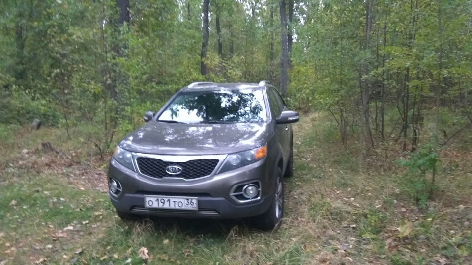 Фото в бортжурнале KIA Sorento (2G)