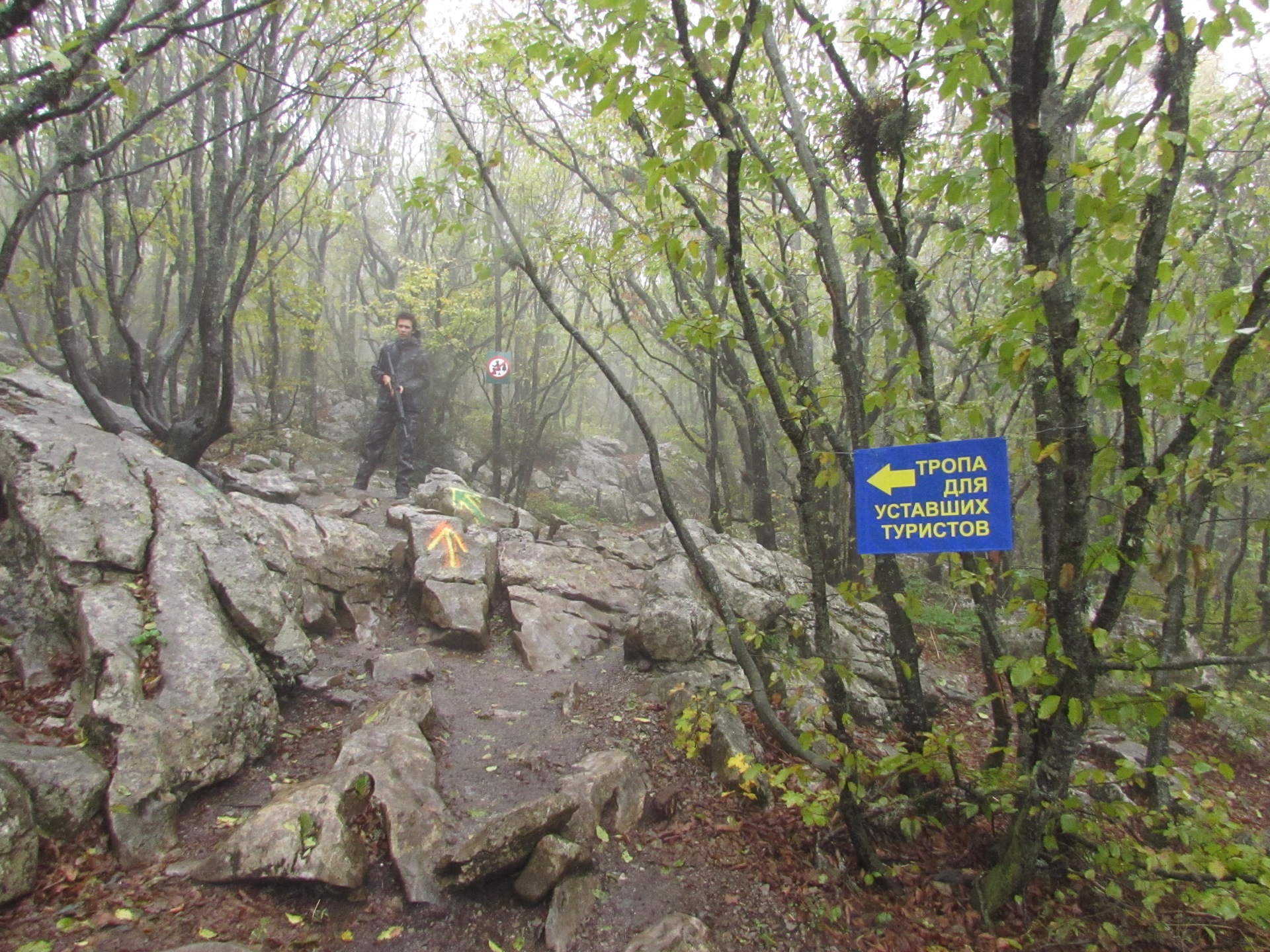 Кореизская тропа на ай Петри