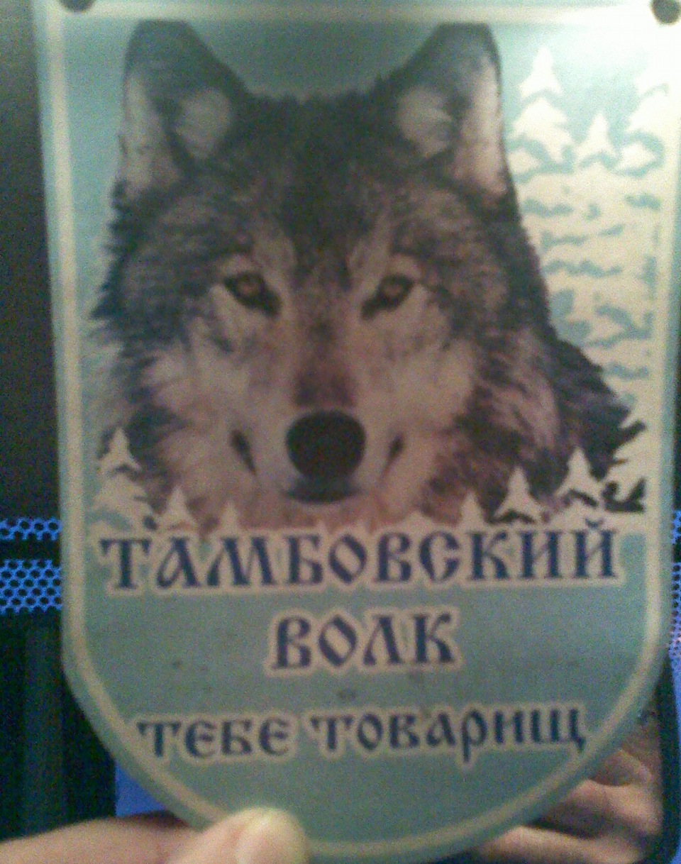 тамбовский волк картинки