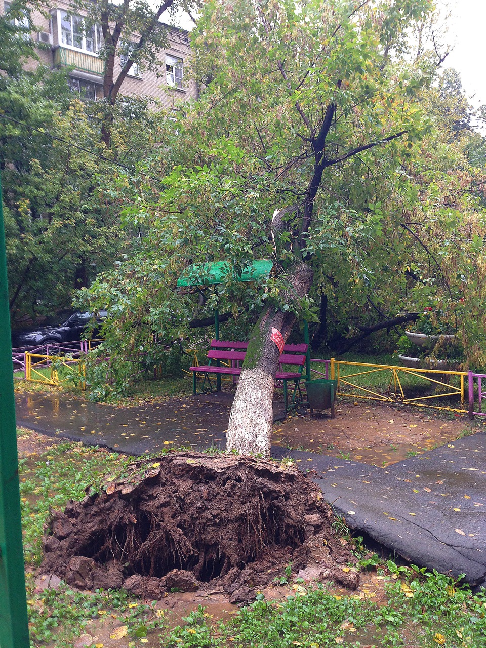 Фото в бортжурнале Land Rover Range Rover Evoque (1G)