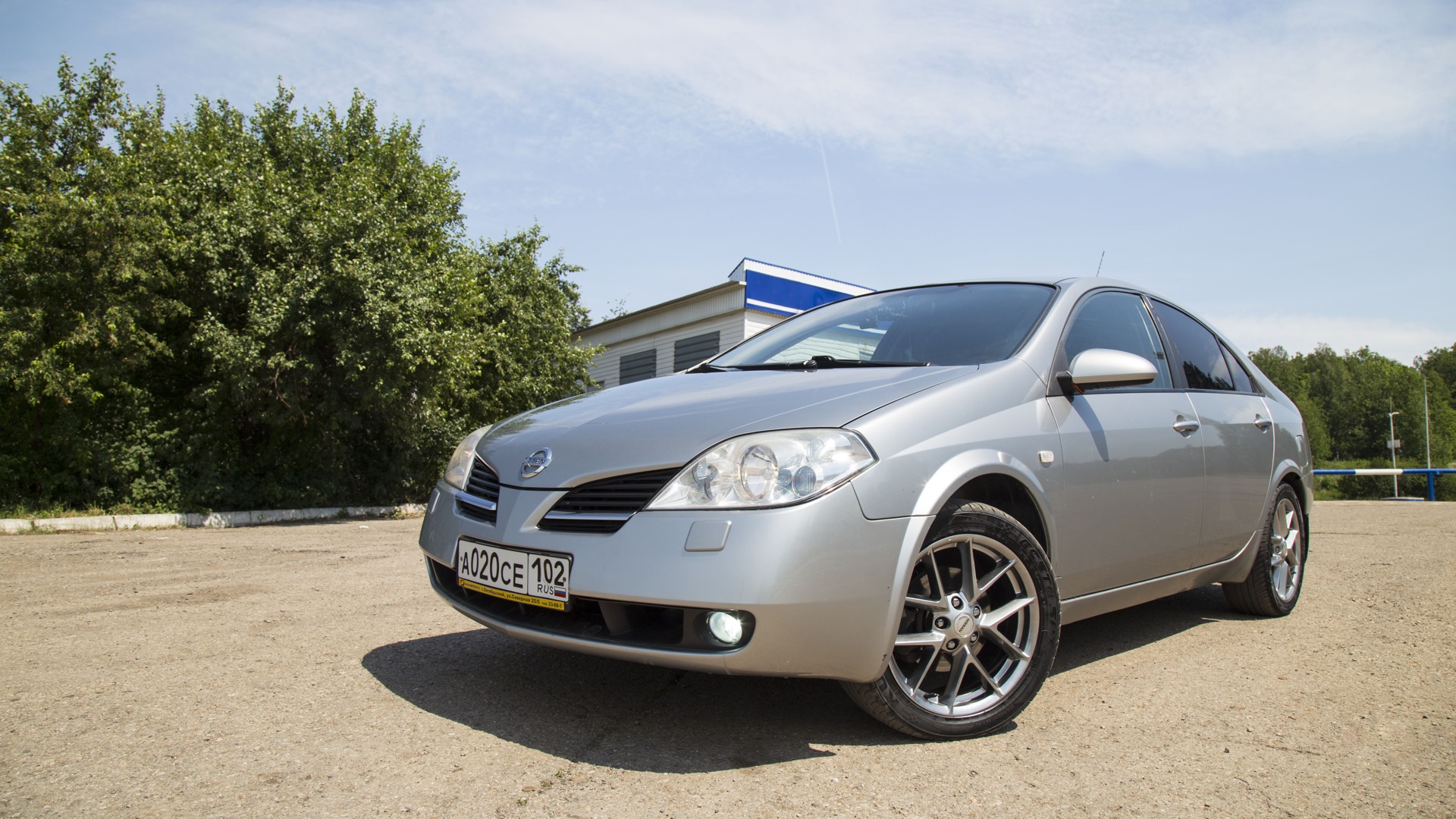 Nissan Primera (P12) 1.8 бензиновый 2007 | Японский драккар на DRIVE2