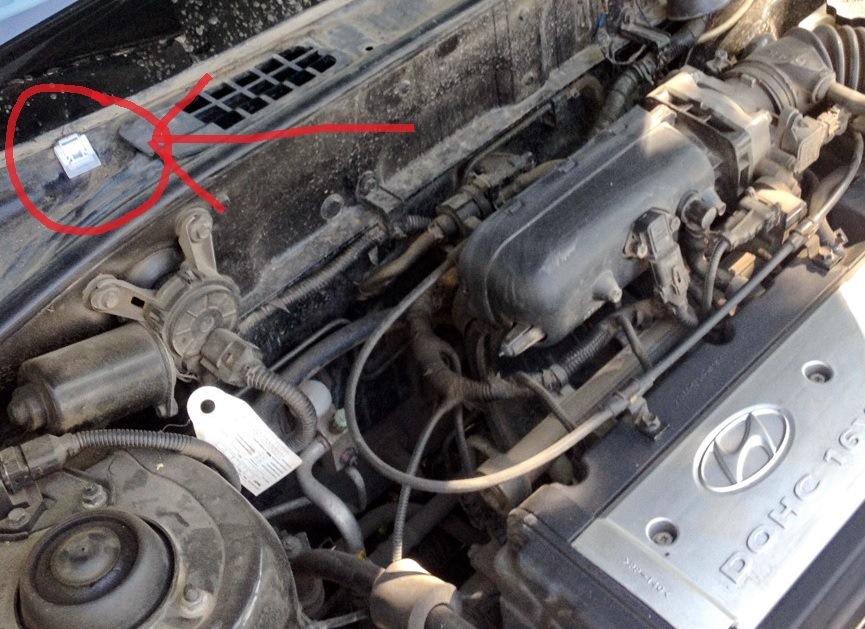 Лужа на пассажирском коврике. Решение! — Hyundai Accent (2G), 1,5 л ...