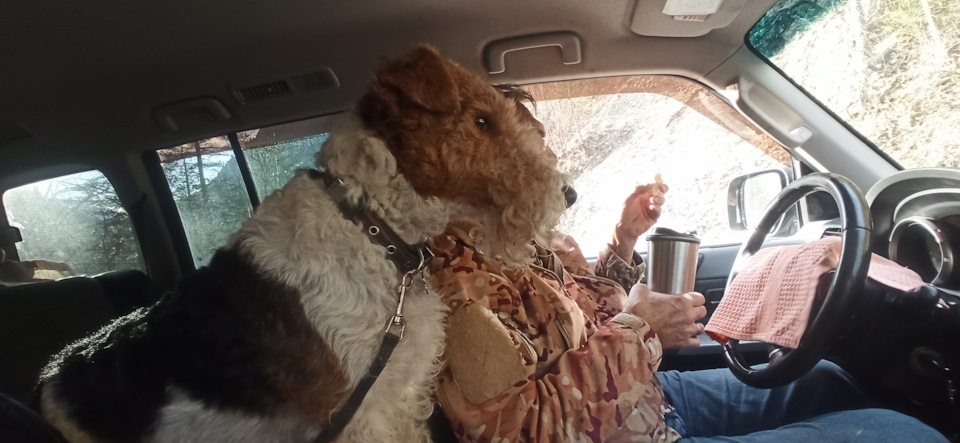 Фото в бортжурнале Mitsubishi Pajero (4G)