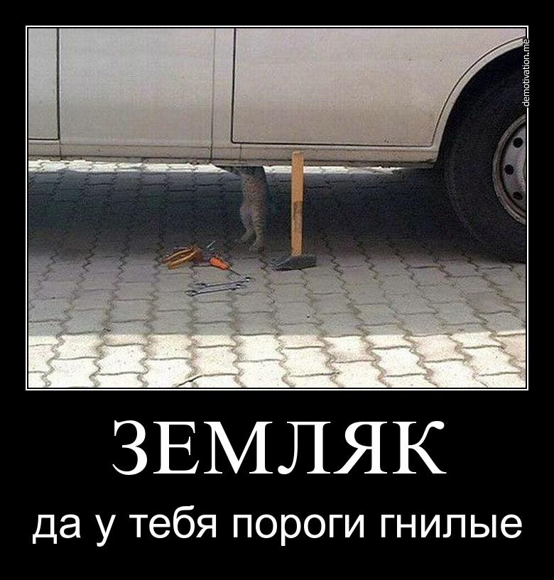 Кот, причин может быть масса автомеханик смешная картинка