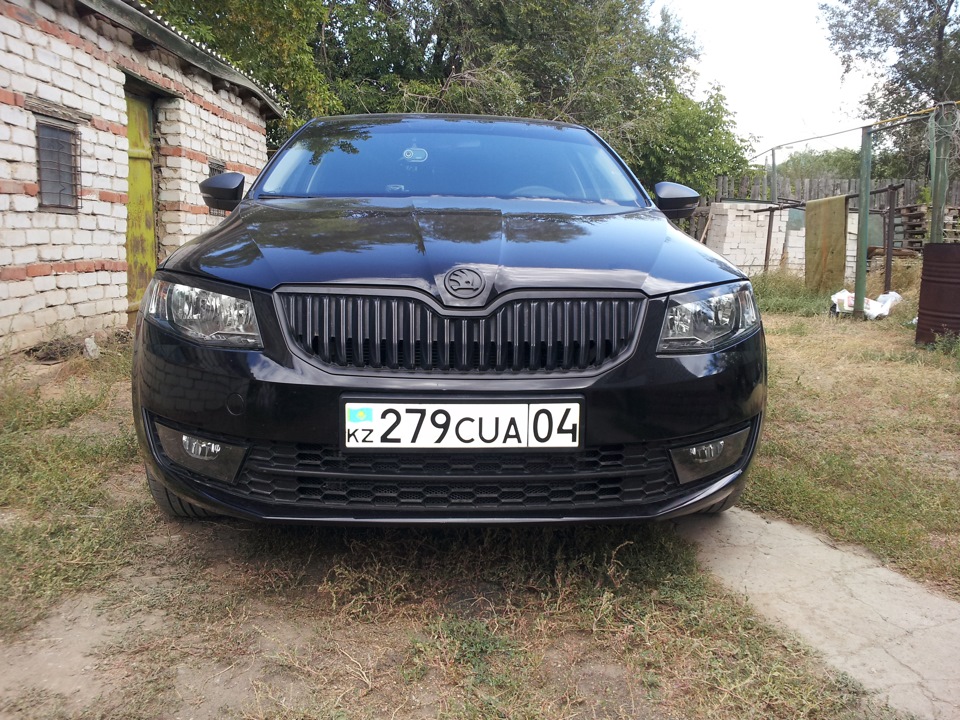 ЧЕРНАЯ алюминиевая сетка в бампер — Skoda Octavia Mk3, 1,4 л., 2014 ...