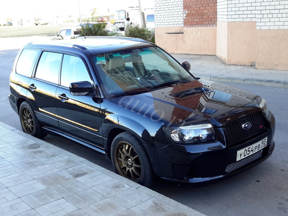 Forester 6