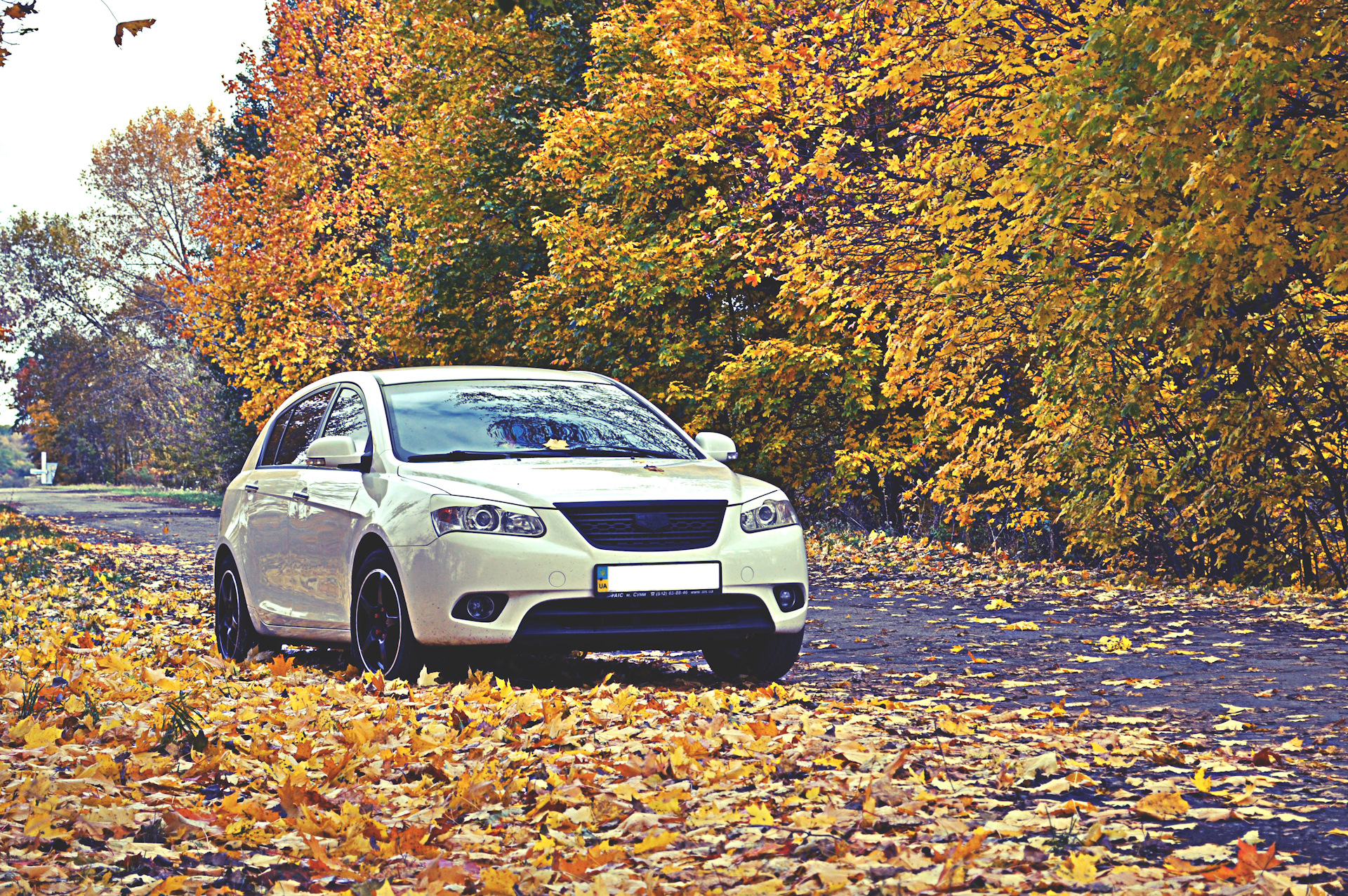 Эхо осень. Geely осень.