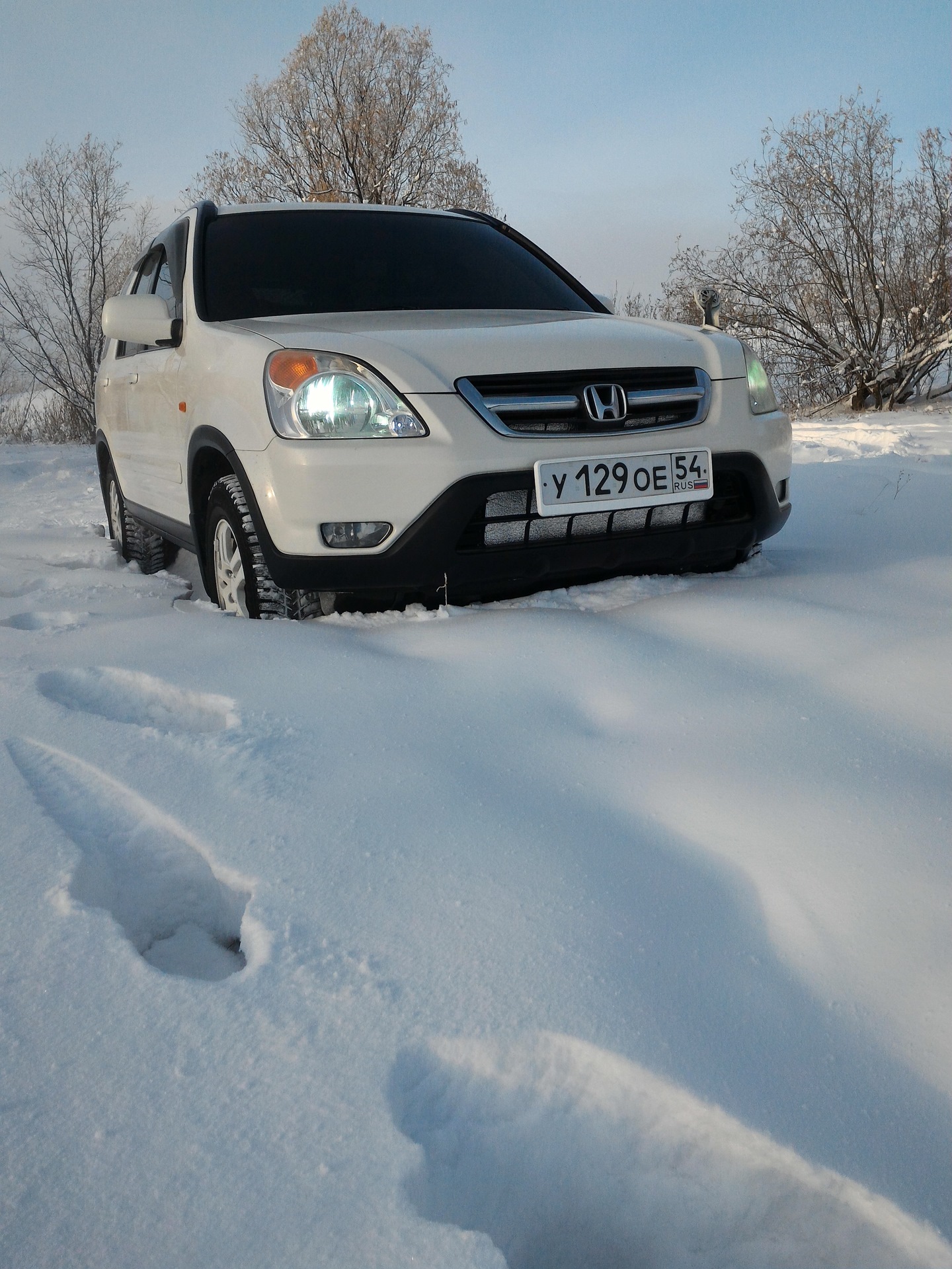 Новые фотки лошадки :) — Honda CR-V (RD4/RD5/RD6/RD7), 2 л, 2002 года ...