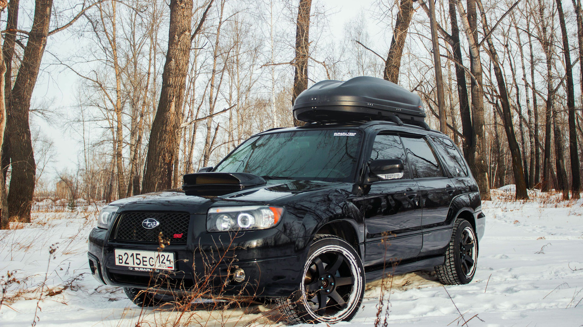 Пересвет subaru forester sg5