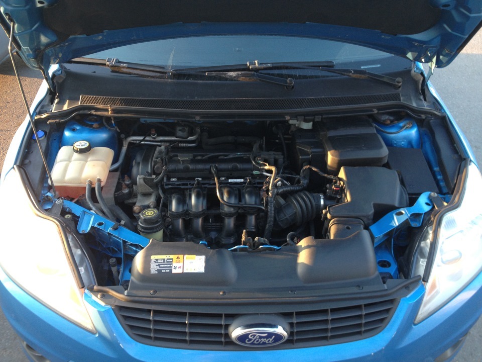 Ford Focus II - двигатель 1,6 (бензин)
