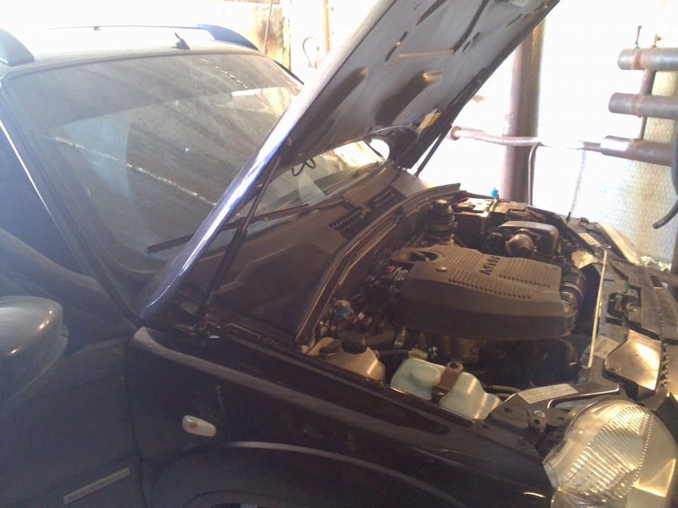 газовые упоры на капот. — Chevrolet Niva (1G), 1,7 л, 2013 года ...