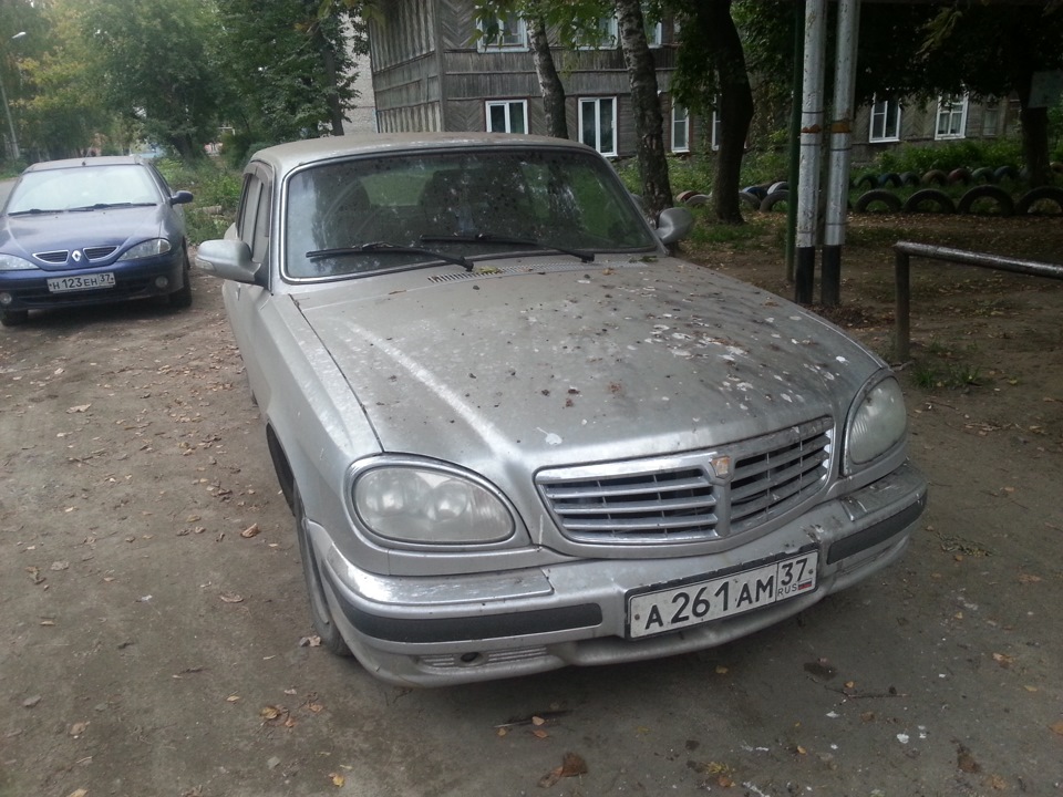 ОСТОРОЖНО сытые птицы! — ГАЗ 31105, 2,4 л, 2007 года | мойка | DRIVE2